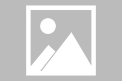 网红卖凤梨,凤梨热销背后的网红经济魅力